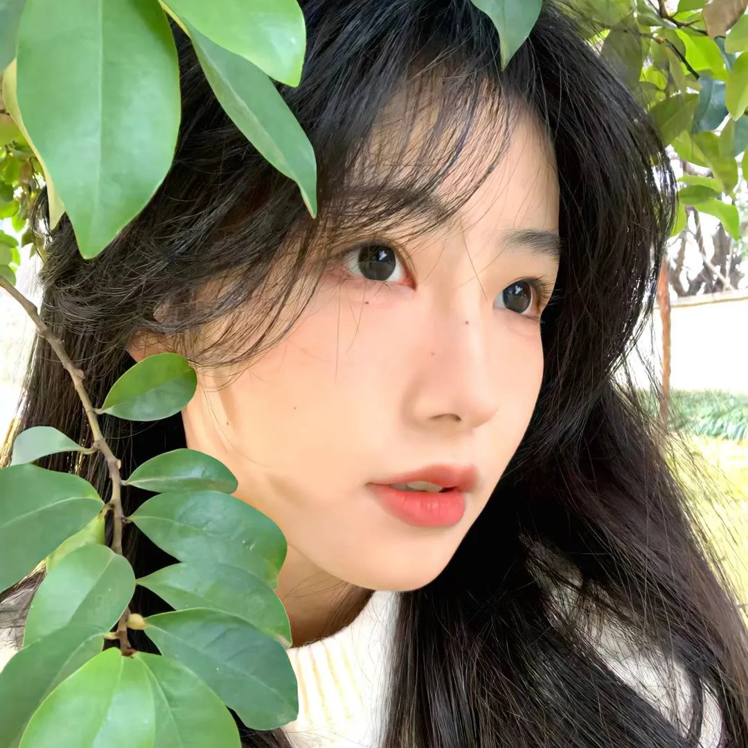 白雾谜岸